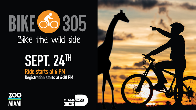 Bike305 Zoo Miami Bike on the Wild Side graphic