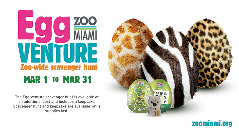Zoo Miami Egg Venture scavenger hunt