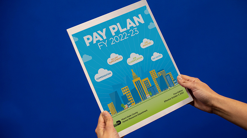 Download and read the Pay Plan PDF.